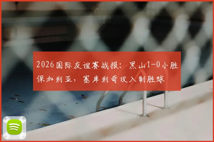 2026国际友谊赛战报:黑山1-0小胜保加利亚,塞库利奇攻入制胜球